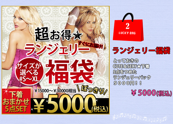 ランジェリー福袋5000円!!セクシー下着5点セット★ベビードール/テディ/ビスチェ/ブラ/テディ/パンティ
