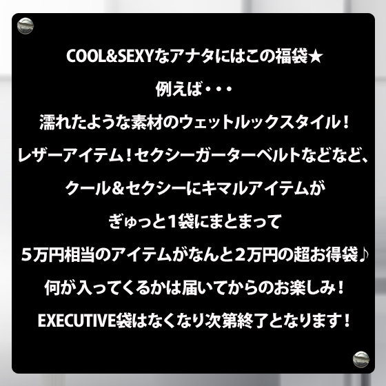 ★2016年新春★EXECUTIVE袋　２万円COOL & SEXYな豪華商品が５万円相当入ってくる！